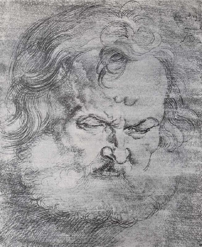 Albrecht Durer Head of St.Peter